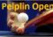 XXIV Turniej Tenisa Stołowego „PELPLIN OPEN” – 31.06.2026 – godz. 9.00; Hala Subkowy